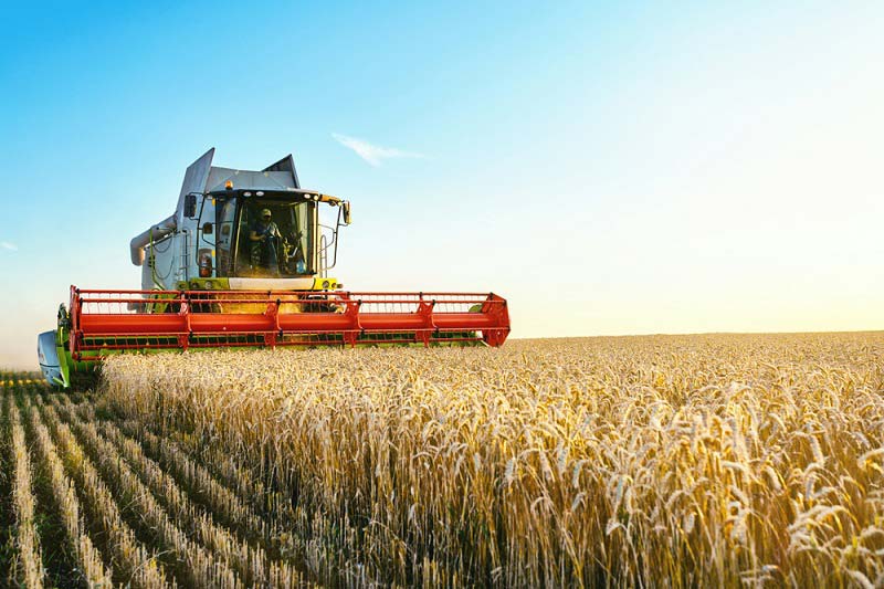 mezőgazdasági bérmunka