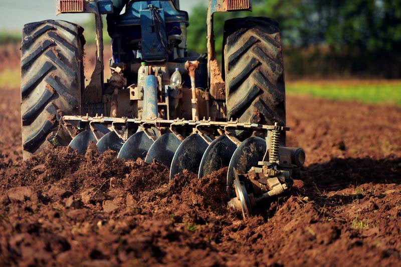 mezőgazdasági bérmunka