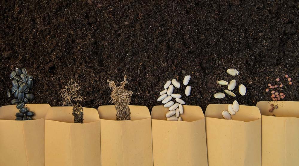 Vetőmag előállítás a sikeres vállalkozás és az egészség érdekében