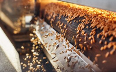 Hogyan spórolhat a bérmunkának köszönhetően?