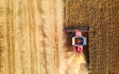 Partnereket keresünk vetőmag feldolgozásához