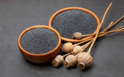 A mák felhasználása és termesztése