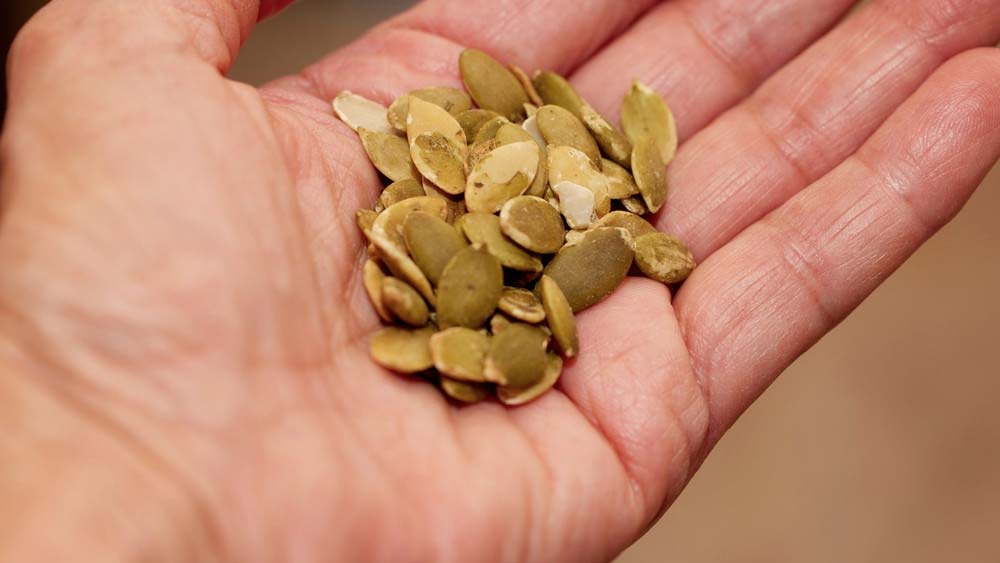 Miért van szükség a vetőmag szárítására?